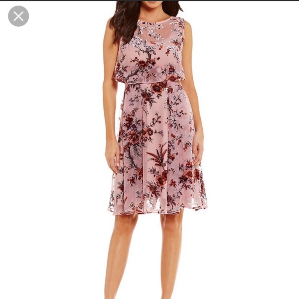 NEW NWT Eva Franco Floral Dress M